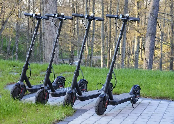 Tip Tap 3* Druskininkai